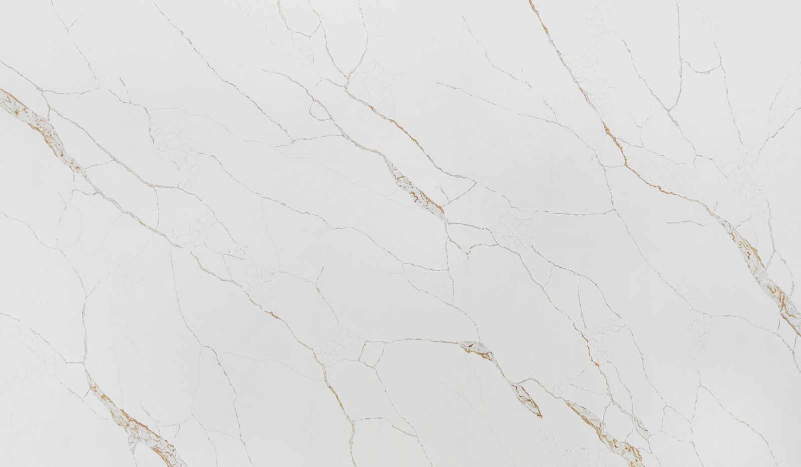 Calacatta Venus slab sample